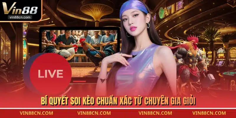 Bí quyết soi kèo chuẩn xác từ chuyên gia giỏi