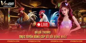 Đá Gà Thomo